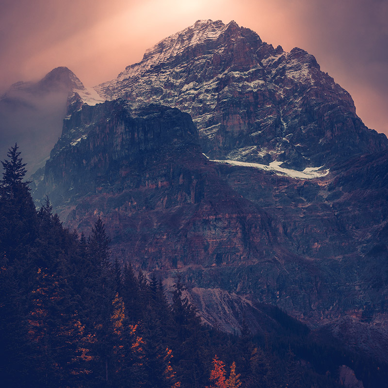 neil-rosenstech-467457-unsplash